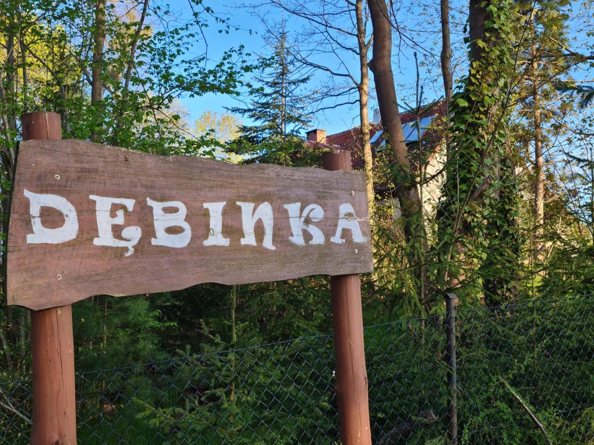 Miłomłyn Siedlisko Debinkaヴィラ エクステリア 写真
